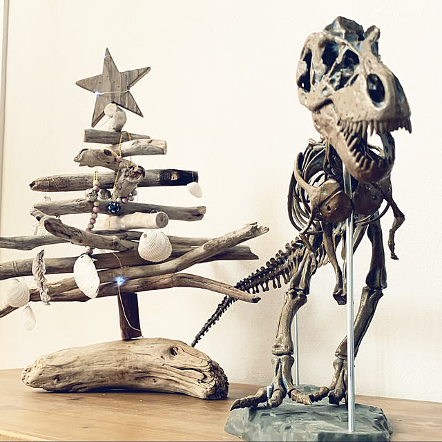 骨格標本のインテリア実例 ｜ RoomClip（ルームクリップ）