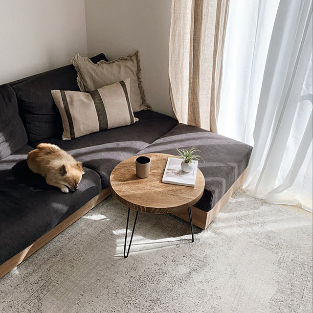 ZARA HOMEラグのおすすめ商品とおしゃれな実例 ｜ RoomClip（ルーム