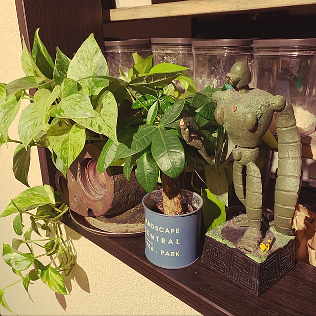 巨神兵プランター☆のおすすめ商品とおしゃれな実例 ｜ RoomClip