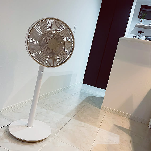 BALMUDA/バルミューダ ザ・グリーンファン 限定カラー「シャンパン