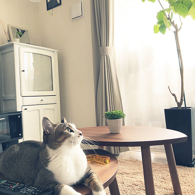 IKEA イケア ネストテーブル2点セット ウォールナット材突き板