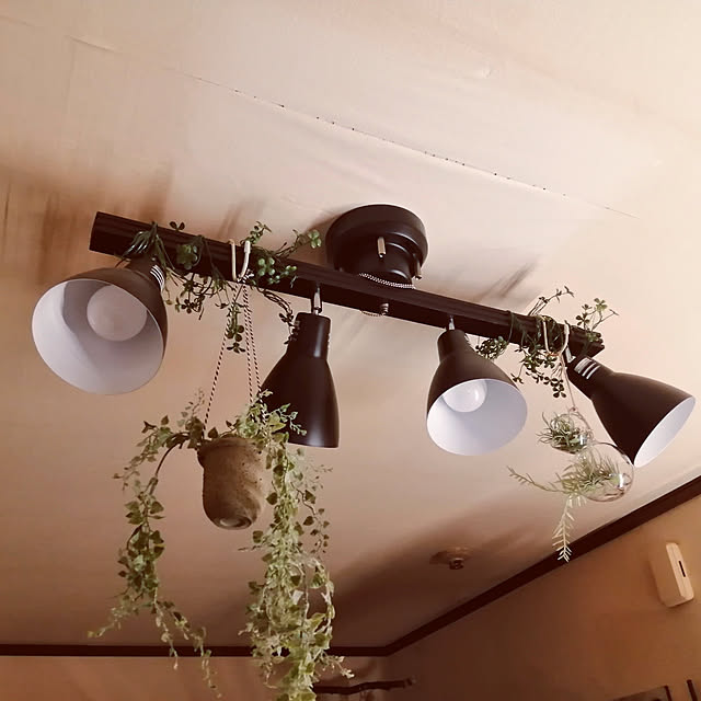 シーリングライト フェイクグリーンのおすすめ商品とおしゃれな実例