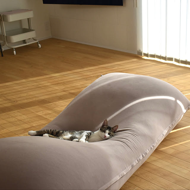 Yogibo Max ヨギボーマックス ライトグレー 送料込み Amazon.co.jp