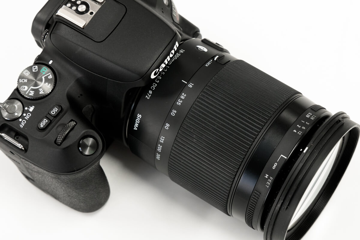 SIGMA 18-300mm F3.5-6.3 DC MACRO OS HSM実写レビュー！望遠も広角も