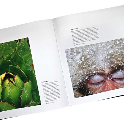 60 Years of Wildlife Photographer of the Year | Waterstones