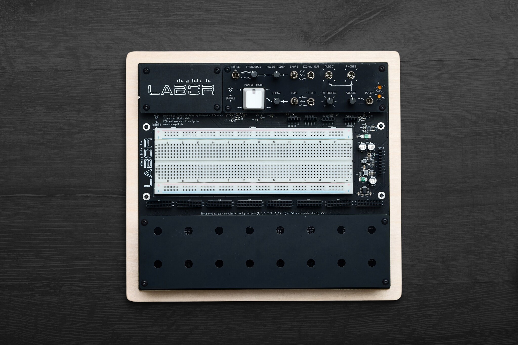 Erica Synths EDU DIY Labor - Volt Music Store