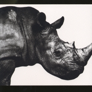 Mr.Children 1992-1995/Mr.Children