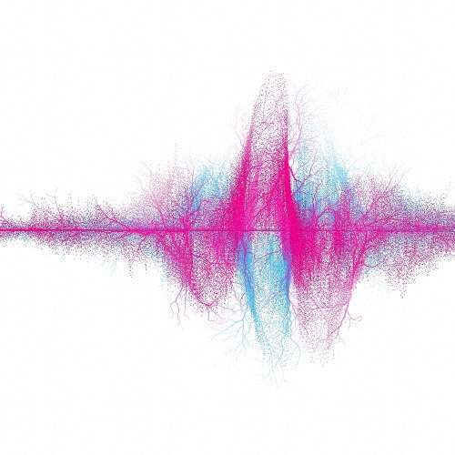 音楽 ［CD+DVD］＜初回生産限定盤B＞/SUPER BEAVER