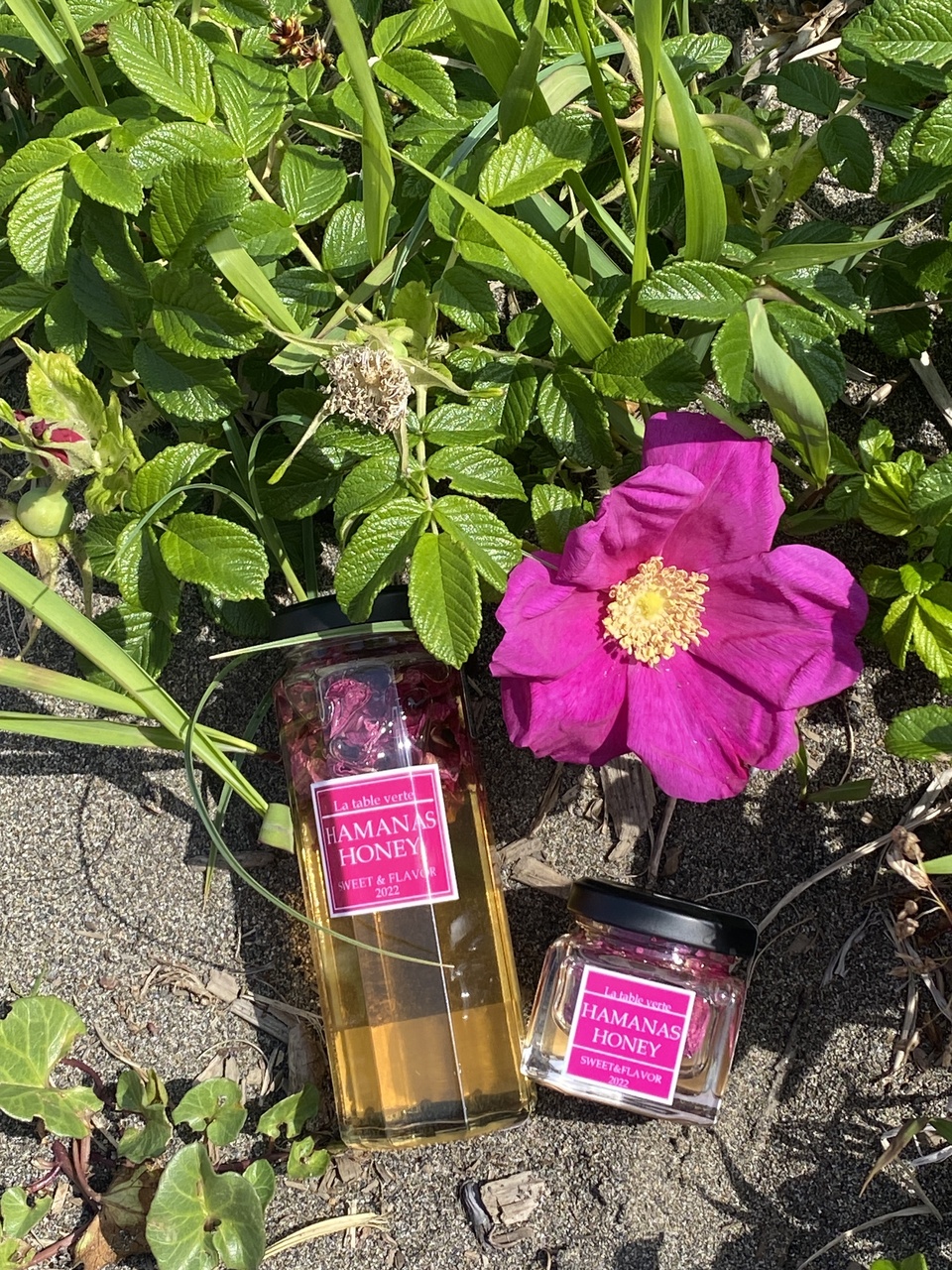 北海道産のローズハニー「HAMANAS HONEY」 ラ ターブルベール (北海道