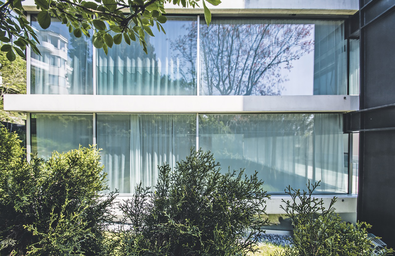 A radical hillside house suspends living space above residential