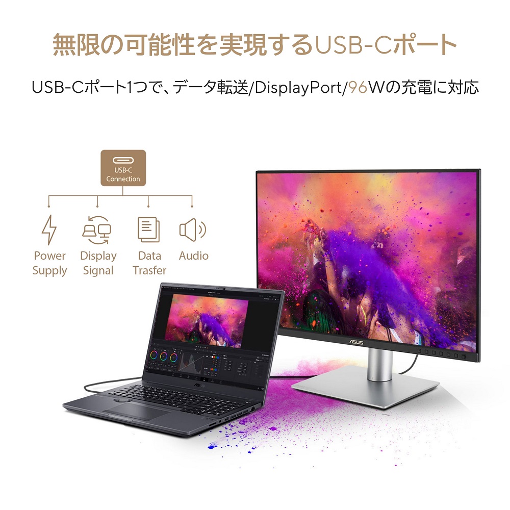 ASUS エイスース ProArt Display PA248CRV 24.1インチ WUXGA(1920x1200