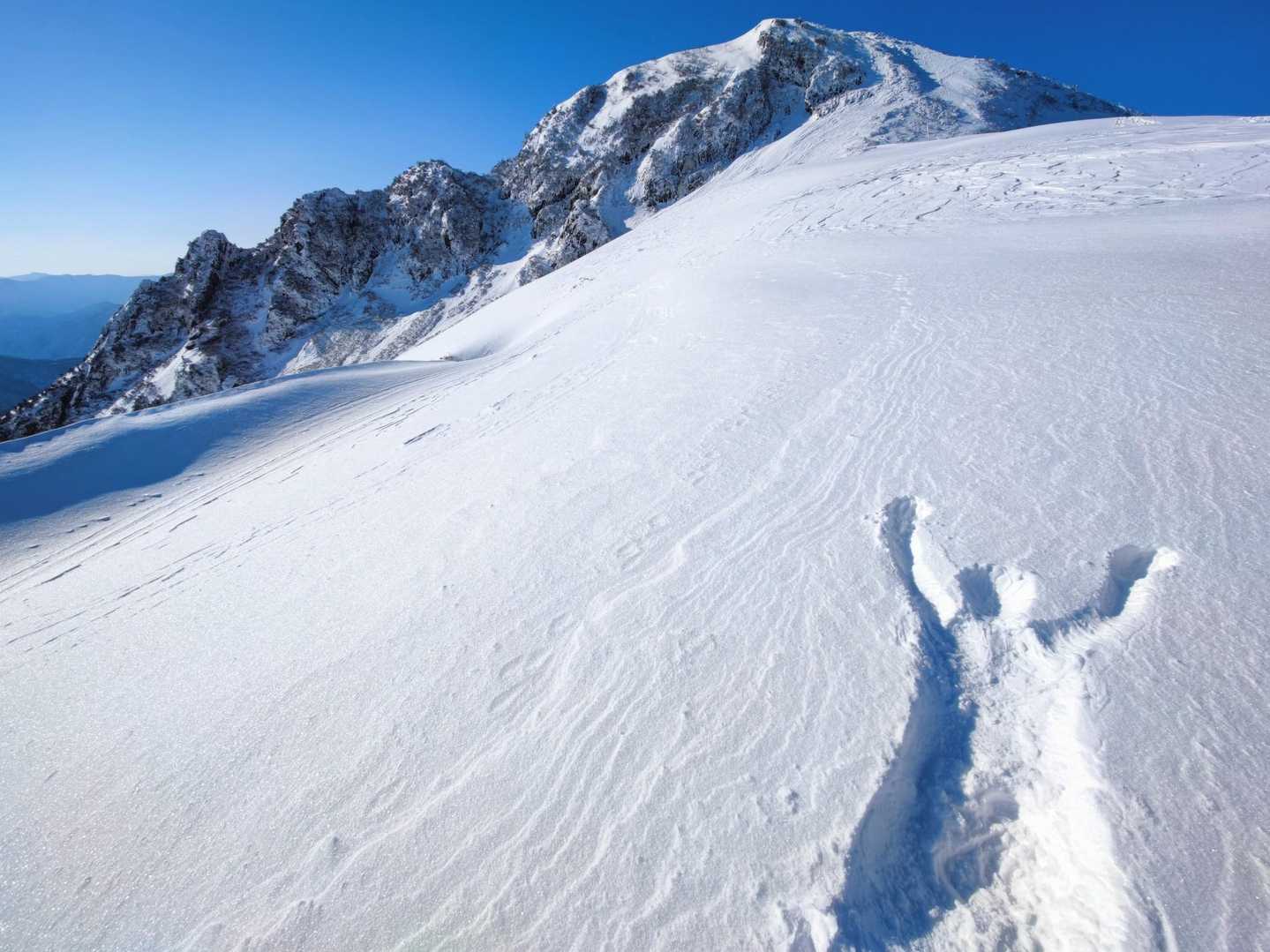 日本百雪山認定‼️冠山（冬期限定クラウンルート） / きよ か わさんの