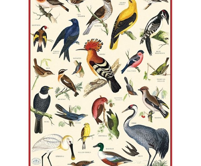 台湾 Cavallini & Co. ポスター/包装紙 鳥シリーズ (各種スタイル
