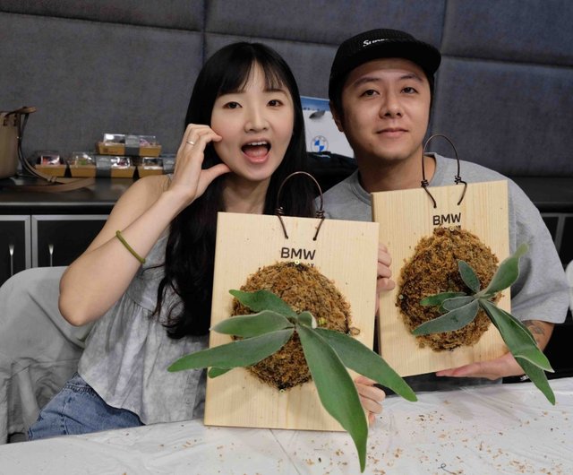 台湾 【体験・アクティビティ】【職人体験】癒しのビカクシダ板付け x