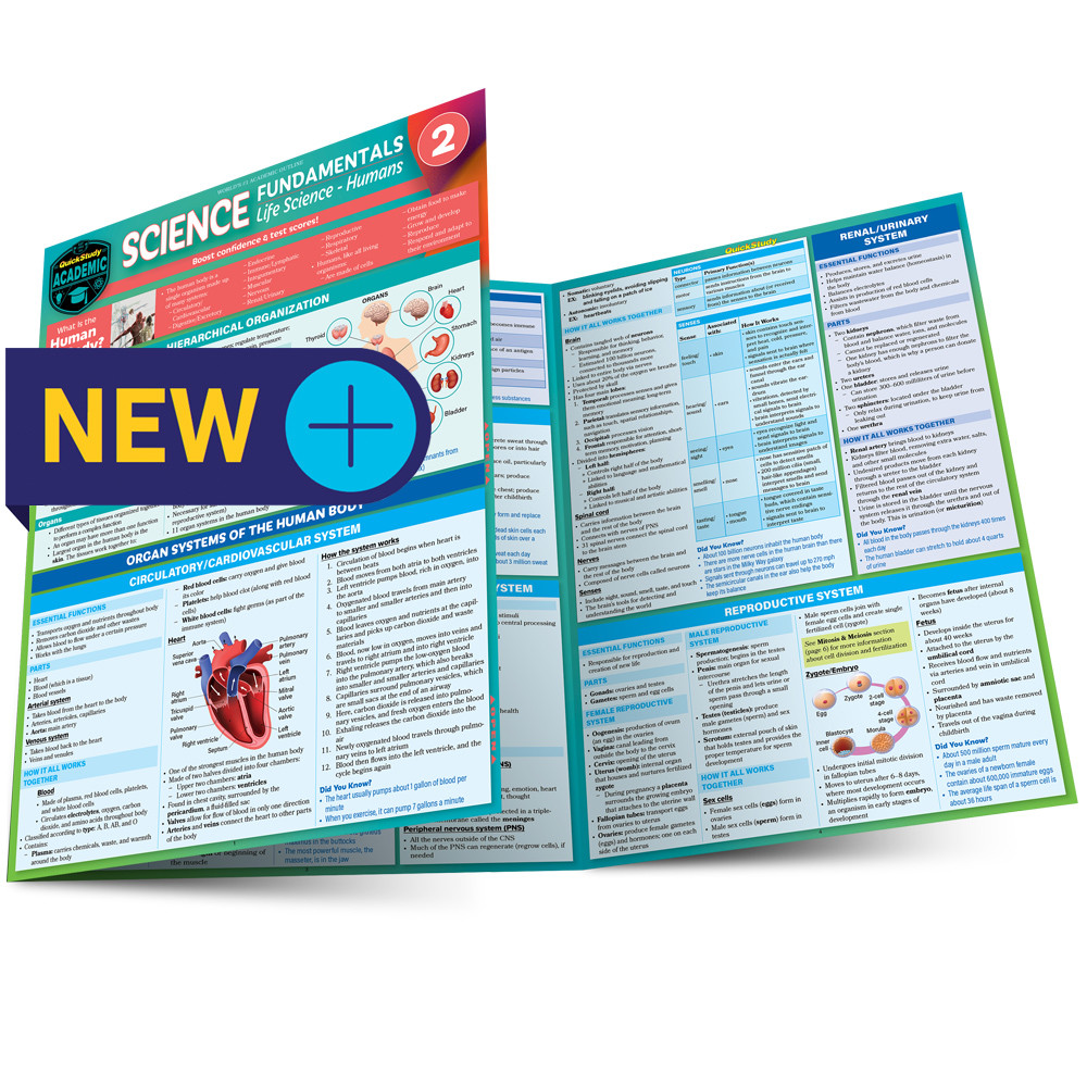QuickStudy | Science Fundamentals 2: Life Science Humans Laminated