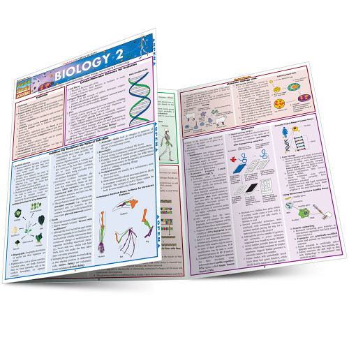 QuickStudy | Biology 2 Laminated Study Guide (9781572228269)