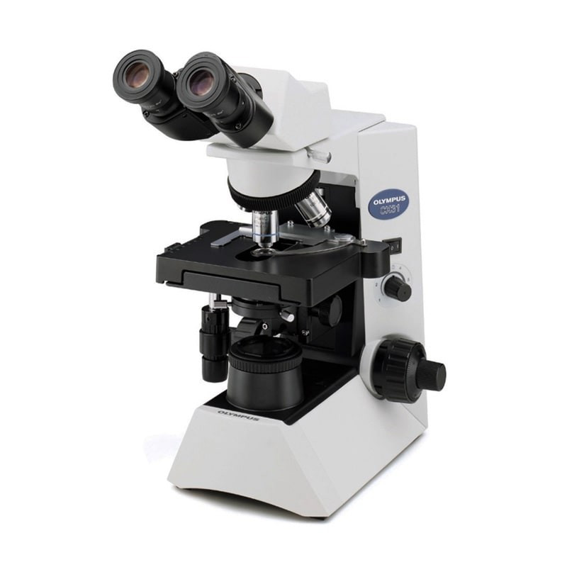 Olympus CX31 Microscope: Reconditioned | NY Microscope Co.
