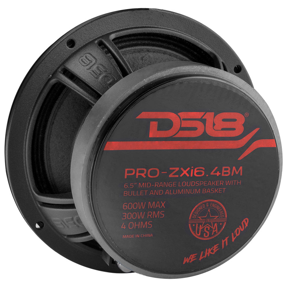 DS18 PRO-ZXI6.4BM 6.5