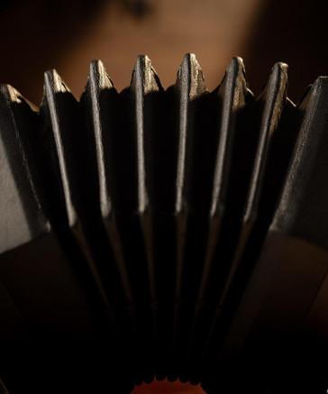 The Swan 30 Button Anglo Concertina in C/G