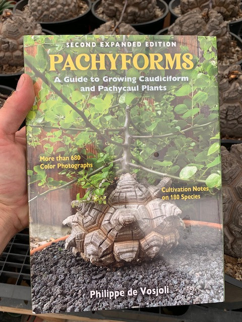 PACHYFORMS A Guide to Growing Caudiciform and Pachycaul Plants