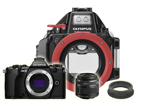 Olympus OM-D E-M5 Camera with 14-42mm Lens