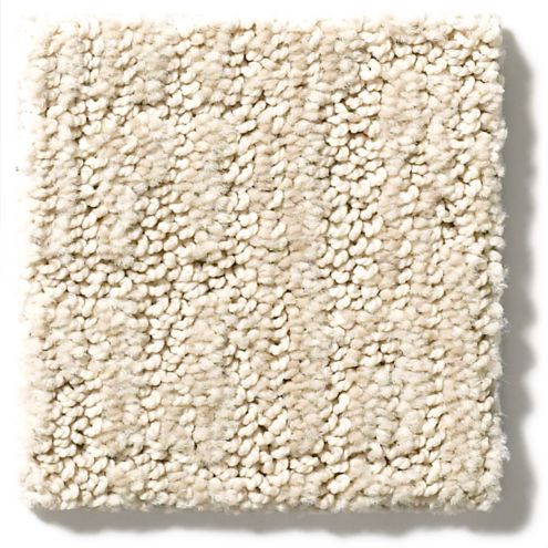 Shaw Anderson Tuftex Wanderer Nylon Carpet 29.20oz | Georgia Carpet