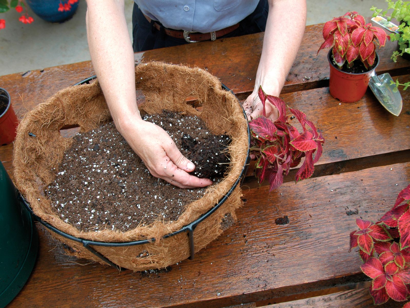 Pamela CrawfoPamela Crawford Hanging Basket Side Planting Coco