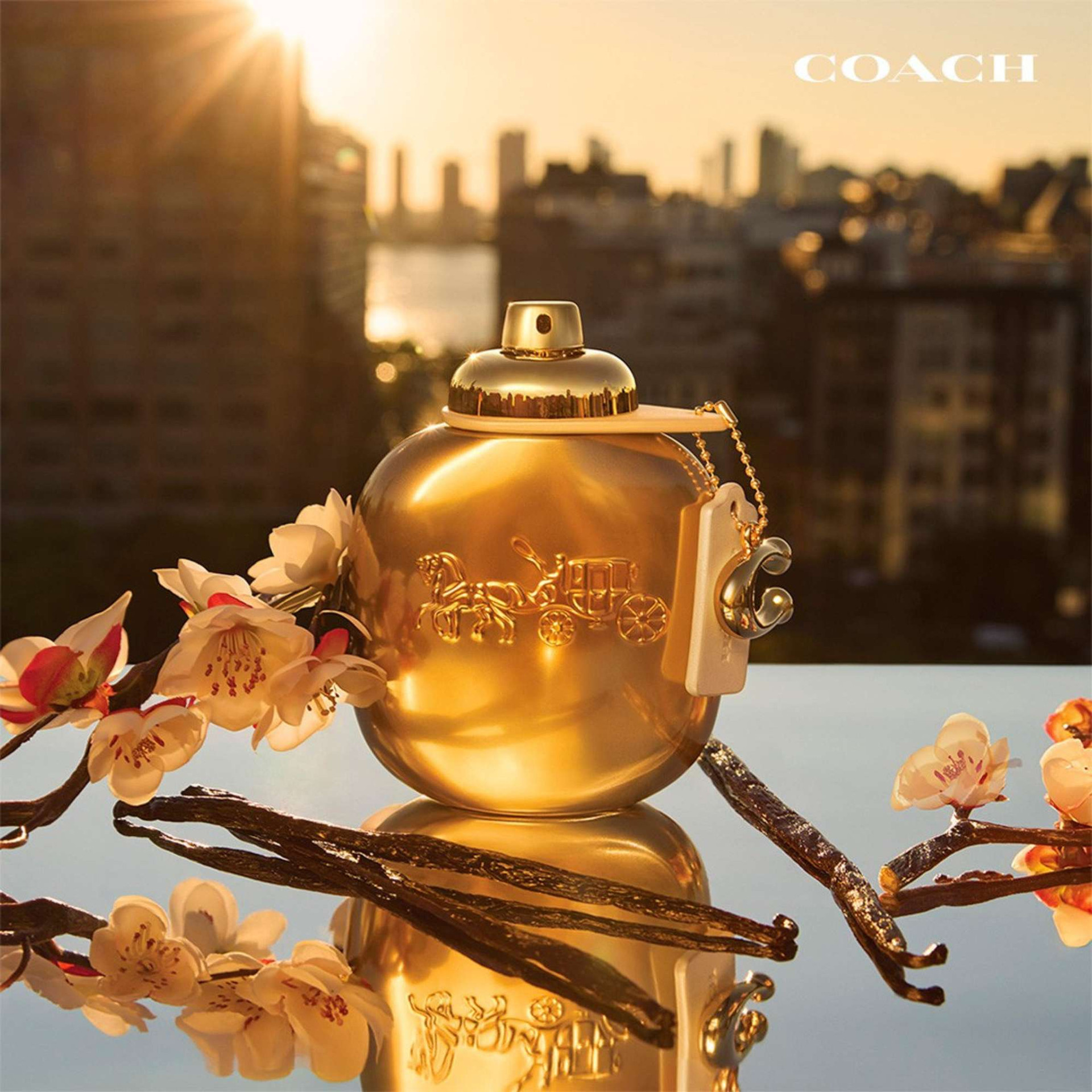 Coach Gold Eau de Parfum Fragrance for Ladies