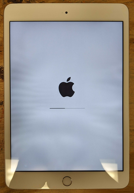 iPad mini 3 Wi-Fi 64GB Silver | mac of all trades