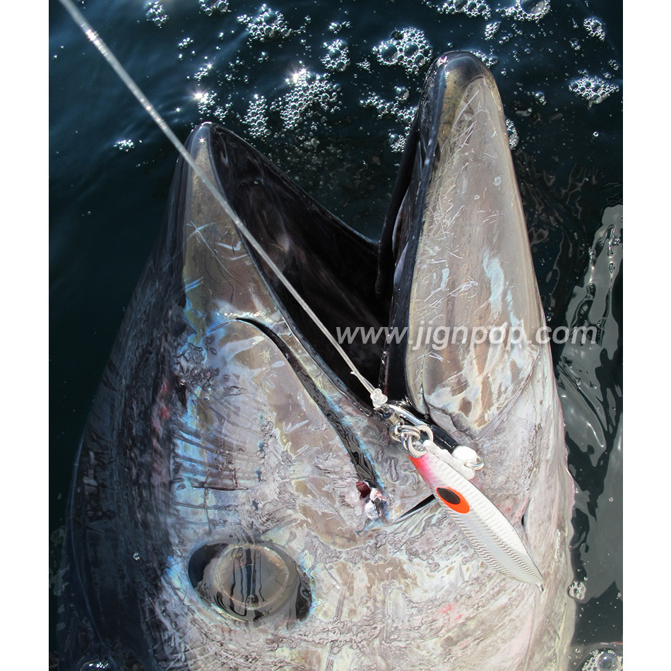 FCLLABO SL Slow Jig, FCLLABO, SL Jig, FCL Labo