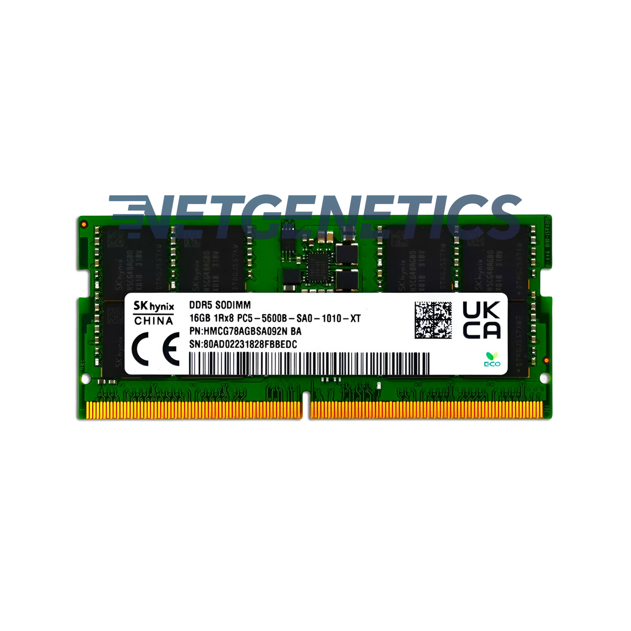Hynix 16GB Laptop Memory | Netgenetics