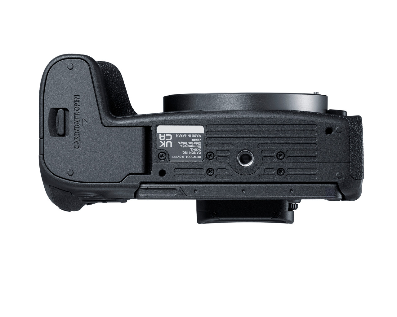 Canon EOS R8 Mirrorless Camera Body