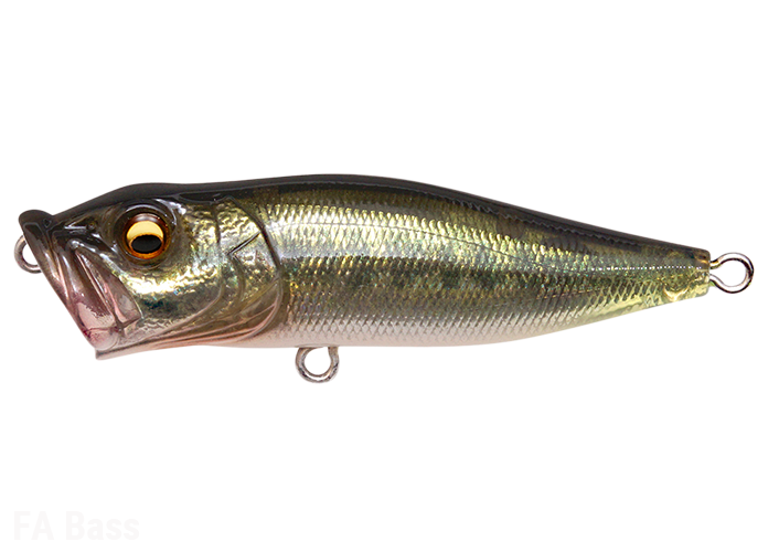 Megabass POP-X NEW - KKJAPANLURE