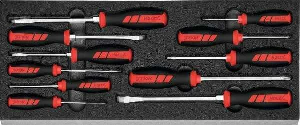 Holex Flat Head & Phillips Screwdrivers in Rigid Foam Inlay, Set of 11