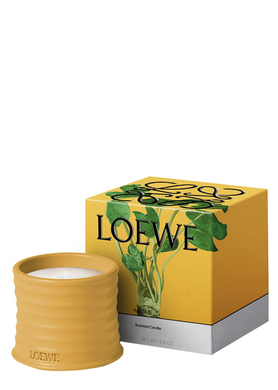 LOEWE Wasabi Candle - Small 170g | Harvey Nichols