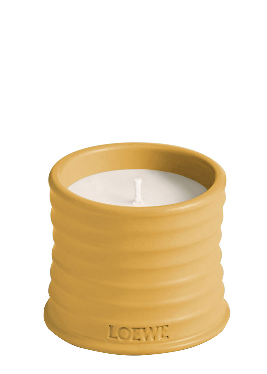 LOEWE Wasabi Candle - Small 170g | Harvey Nichols