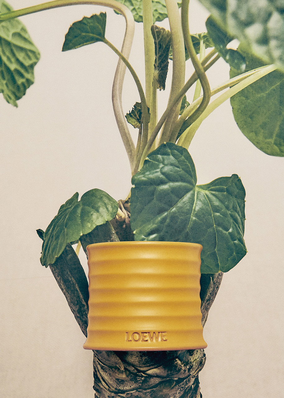 LOEWE Wasabi Candle - Small 170g | Harvey Nichols