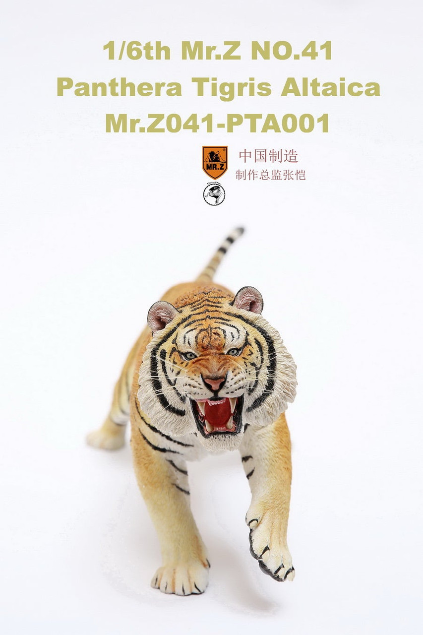 Mr.Z (Mr.Z041-PTA) 1/6 Scale Panthera Tigris Altaica Figure (3