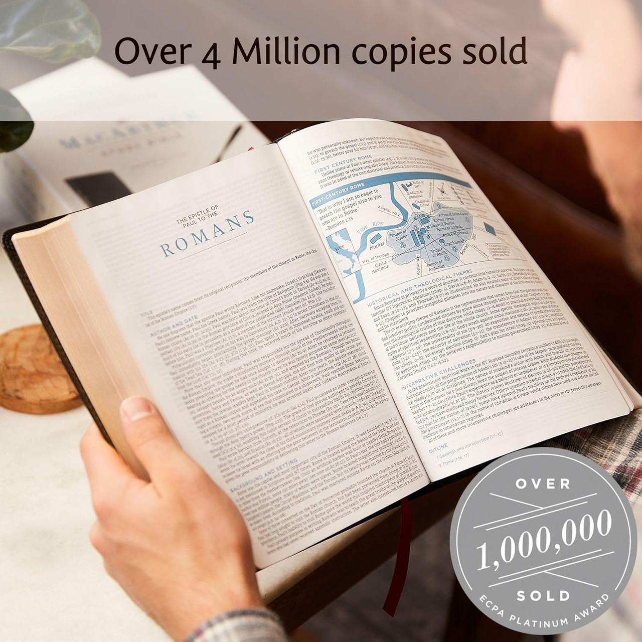 NASB, MacArthur Study Bible 2nd Ed | Focus on the Family Store