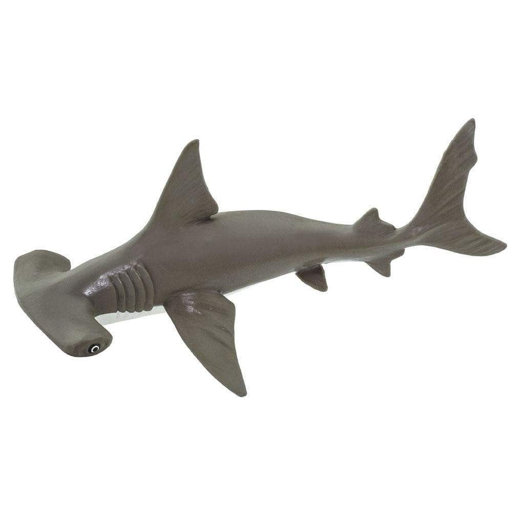 Safari Ltd Hammerhead Shark Baby 267929 | Incredible Creatures