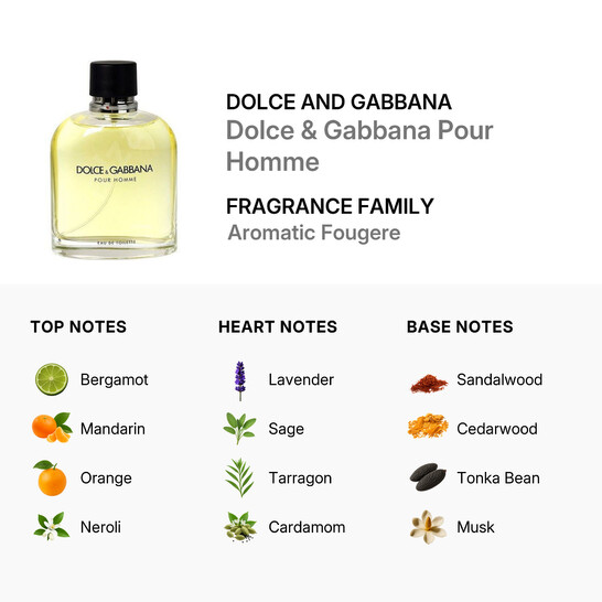Dolce & Gabbana Men's Pour Homme EDT Spray 4.2 oz (Tester
