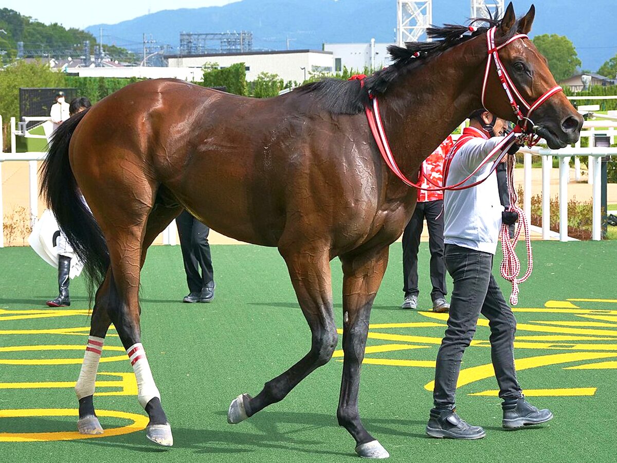 BCクラシック2025】フォーエバーヤングが国内最終追い切りを消化、好