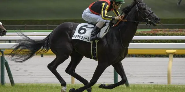 JRA】期待の3歳馬クロワデュノール！北村友一騎手とのコンビで皐月賞