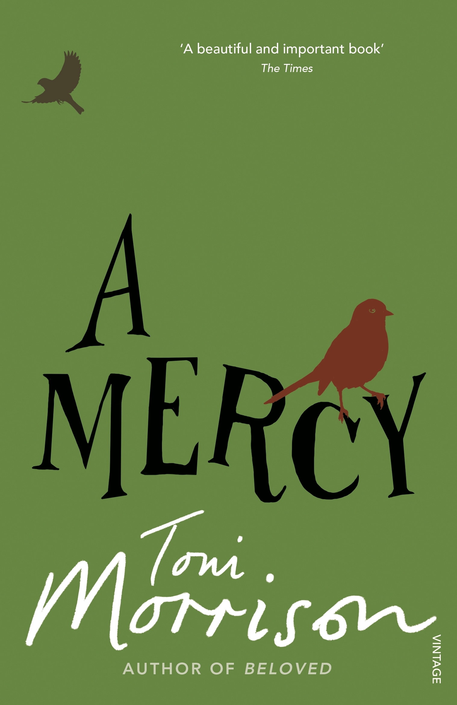 A Mercy by Toni Morrison - Penguin Books New Zealand