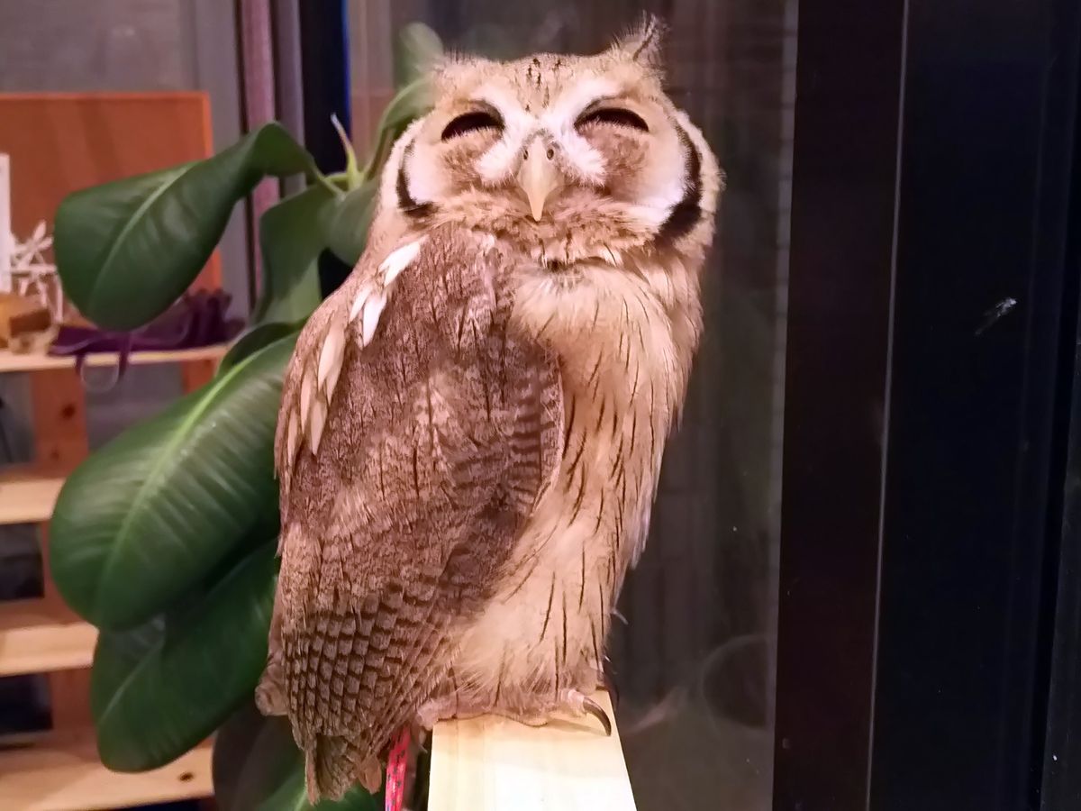 20160418023858_1381791872_1278