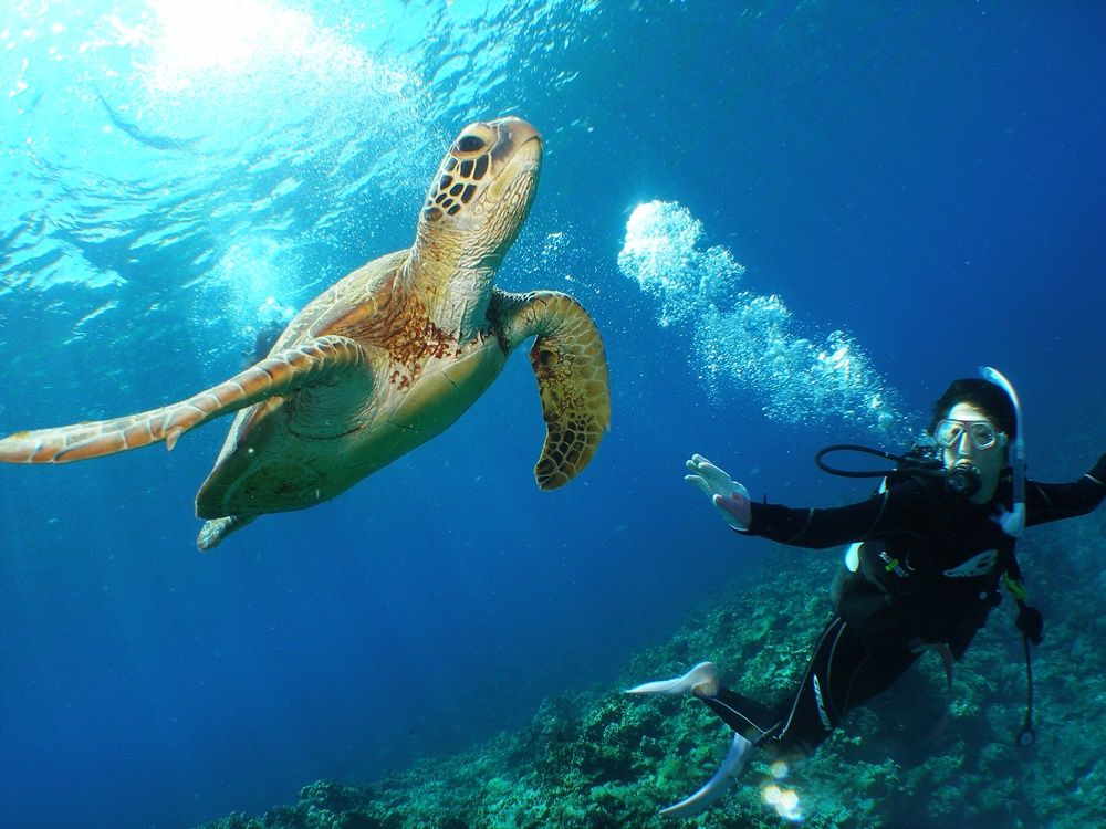 20160620004948_757693740_12893