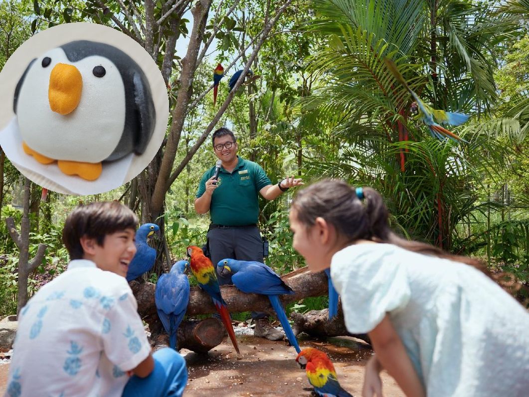 バードパラダイス】アジア最大級の鳥たちの楽園 ＜入場券＆往路片道