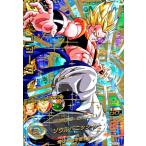 karintou-shop_dbh-hg253