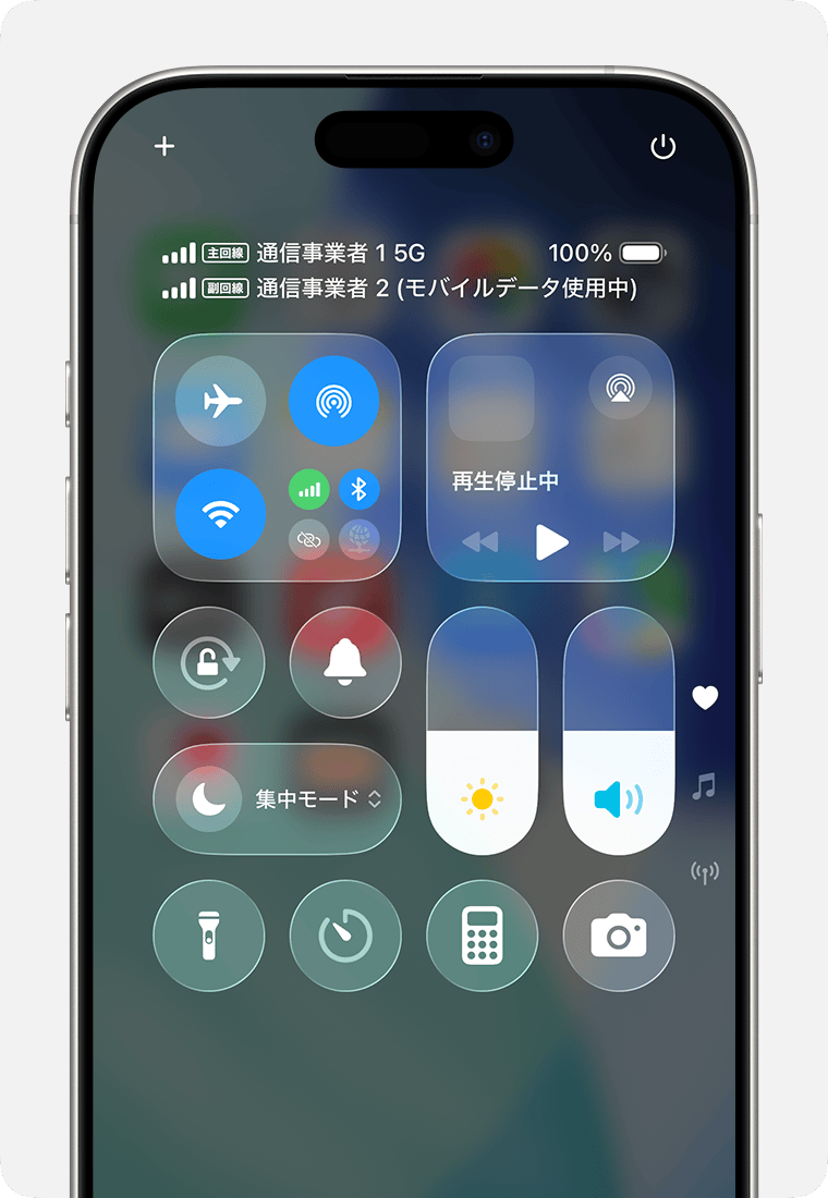 2枚のnano-SIMカードでデュアルSIMを使う - Apple サポート (日本)