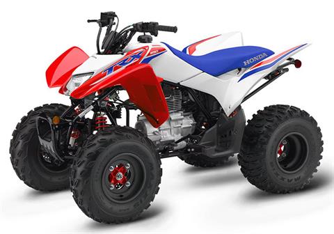 New 2025 Honda TRX250X Red | ATVs in Brookhaven MS |